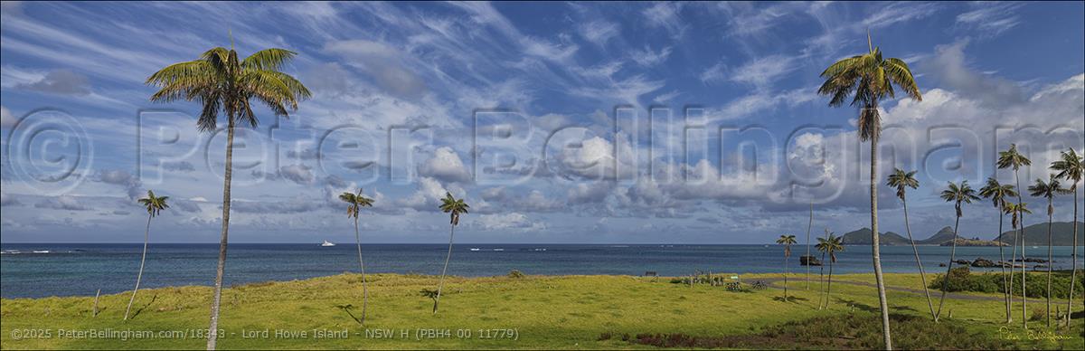 Peter Bellingham Photography Lord Howe Island - NSW H (PBH4 00 11779)